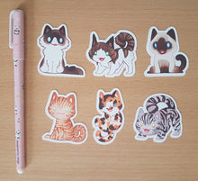 Load image into Gallery viewer, Cat Stickers