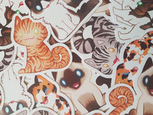 Load image into Gallery viewer, Cat Stickers