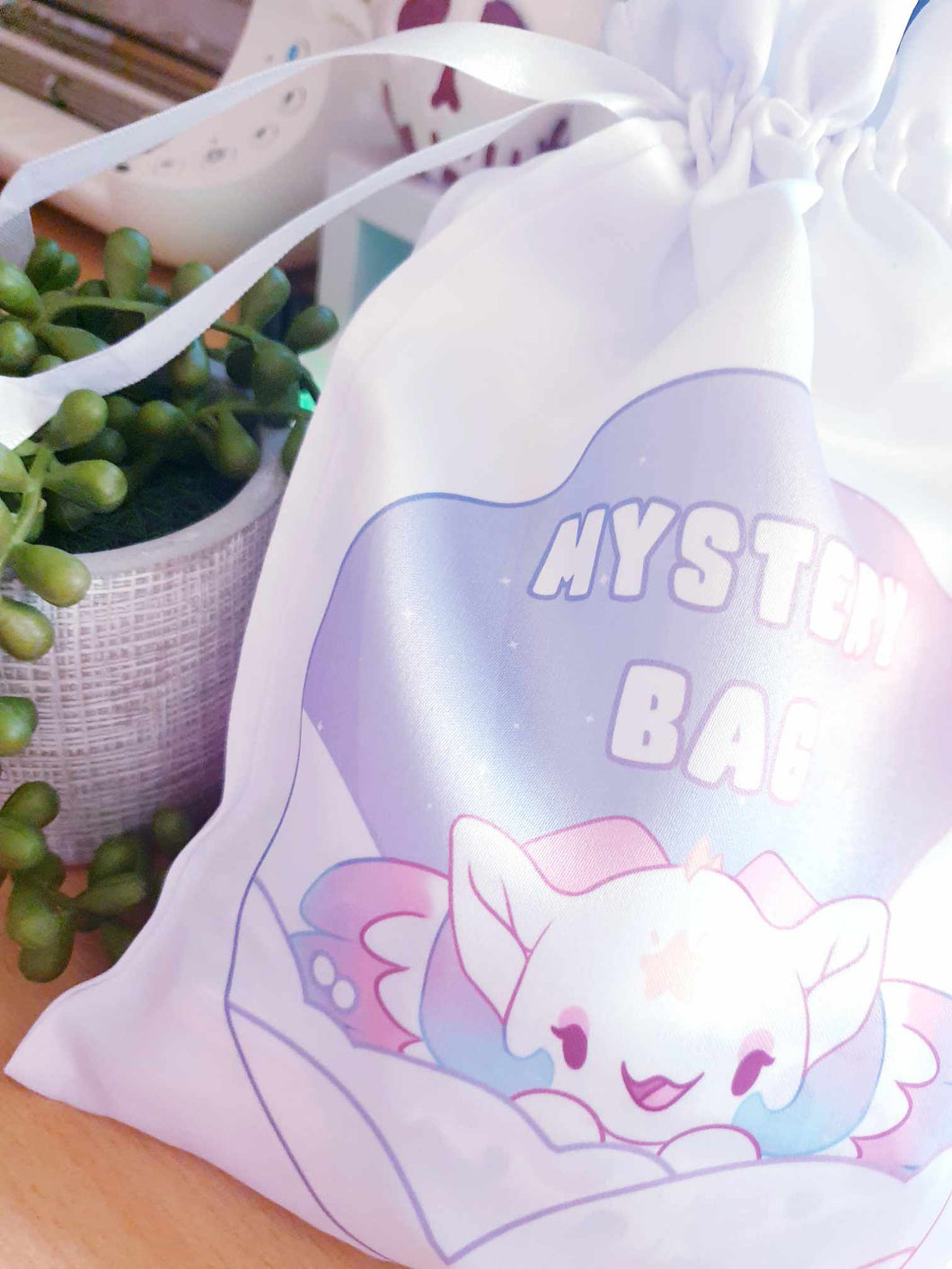 Large Mystery Bag