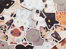 Load image into Gallery viewer, Cat Breed Stickers
